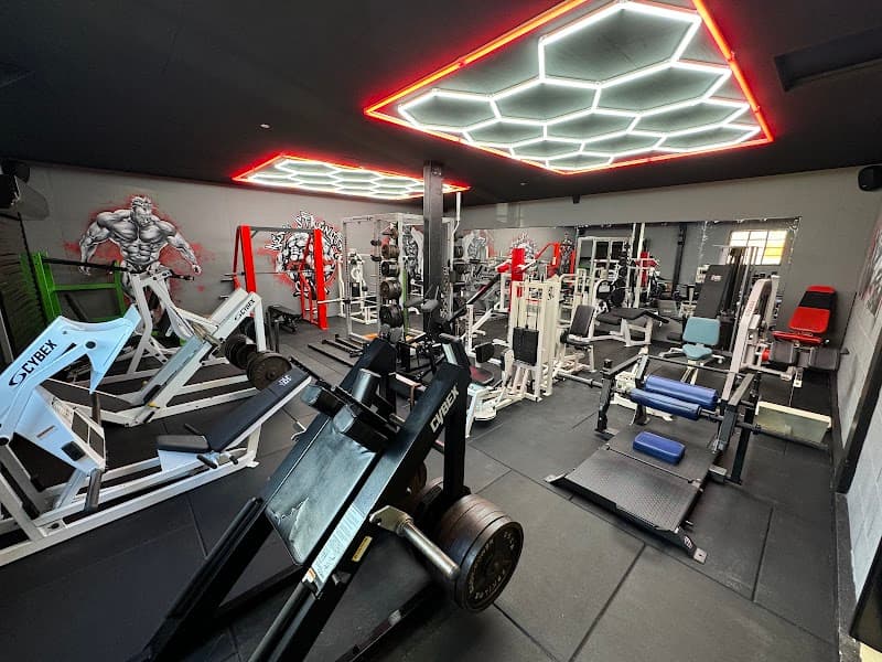 Real Strength Gym - Havant, Rowlands Castle — gyms in Horndean