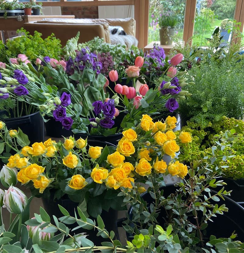 The Flower Shed - Petersfield — florists in Horndean