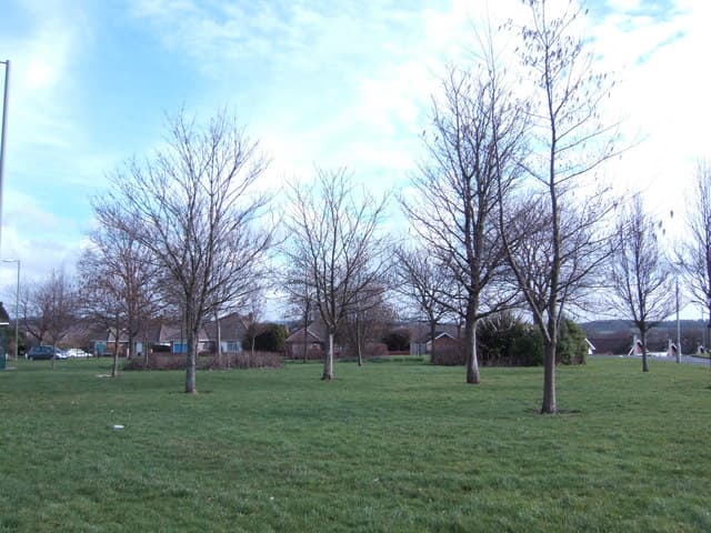 Open greenspace near Horndean